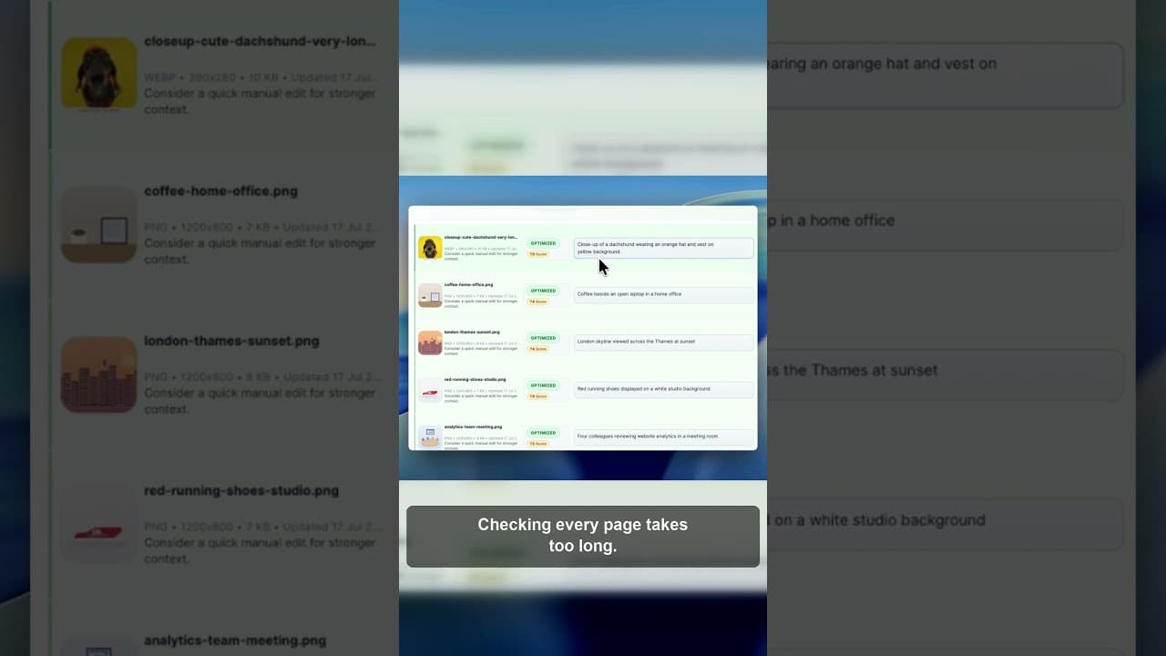 A single dashboard view of every missing alt tag on a WordPress site