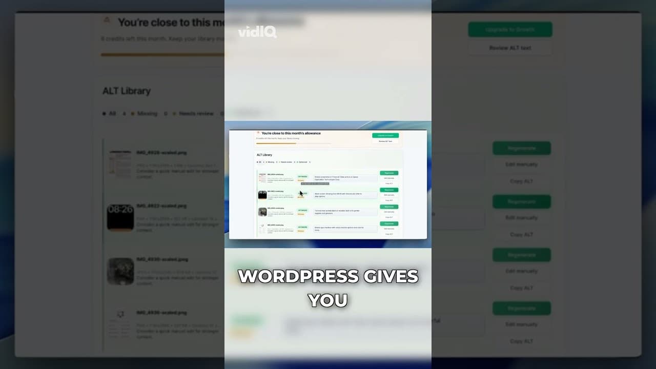 A hidden WordPress SEO problem caused by missing alt text