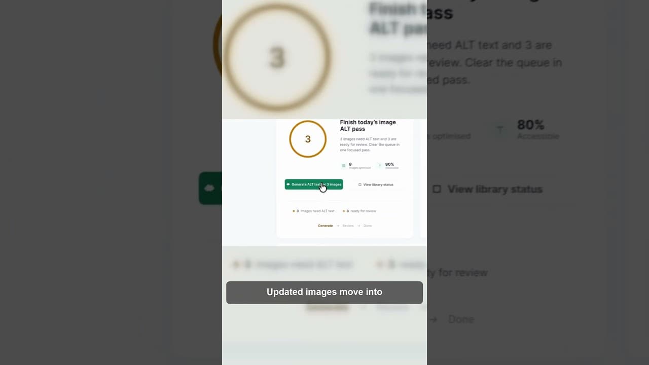 Comparing WordPress alt text coverage before and after fixing missing images
