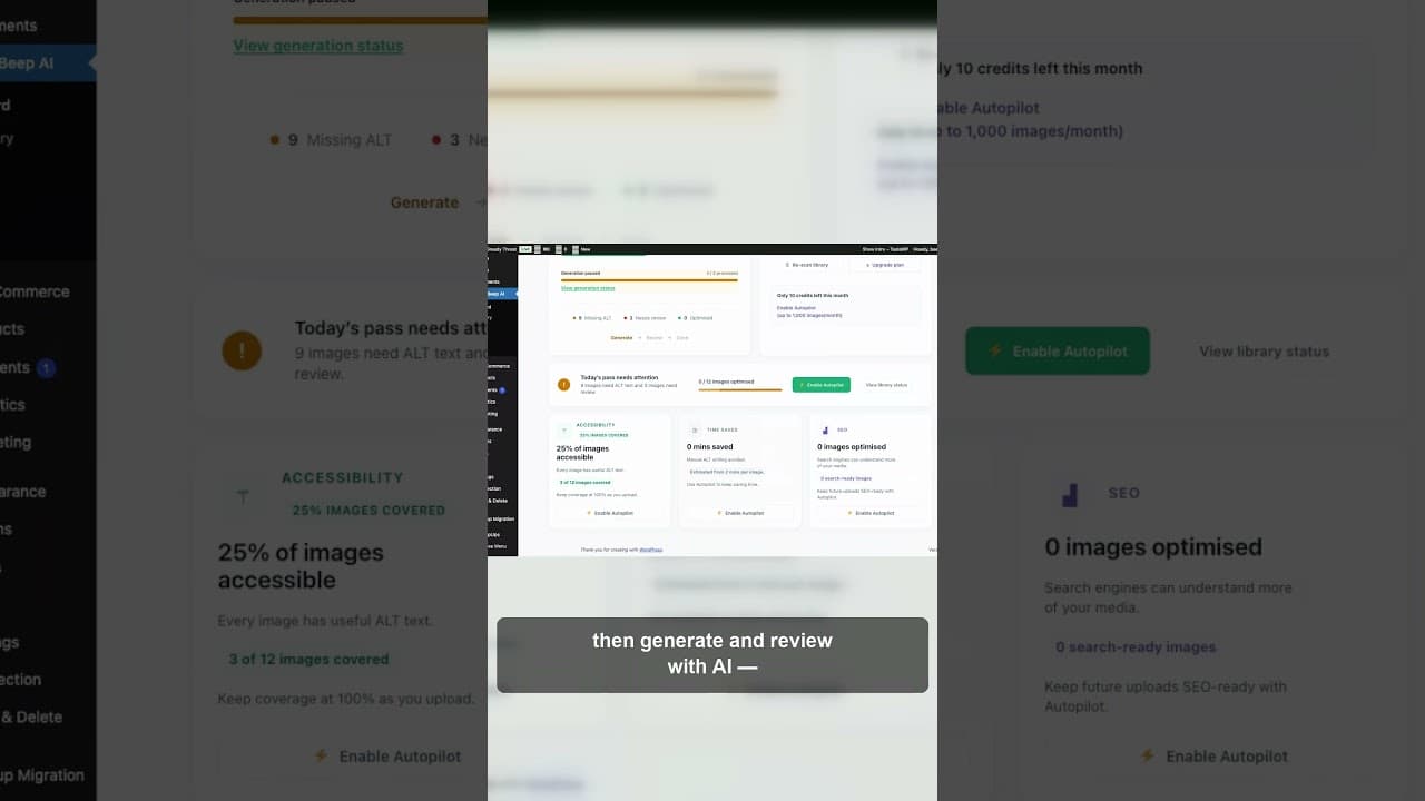 A WooCommerce product catalogue being scanned in bulk for missing alt text