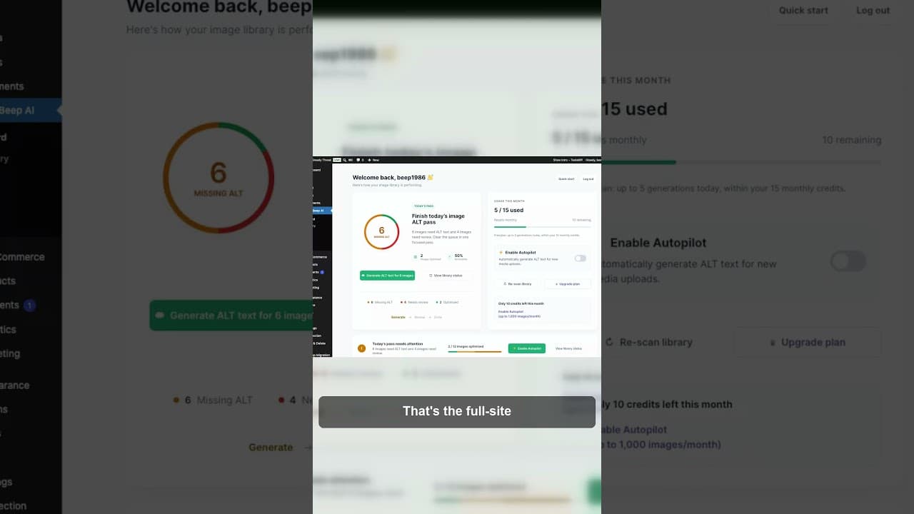A four-step alt text cleanup workflow: scan, prioritise, generate, review